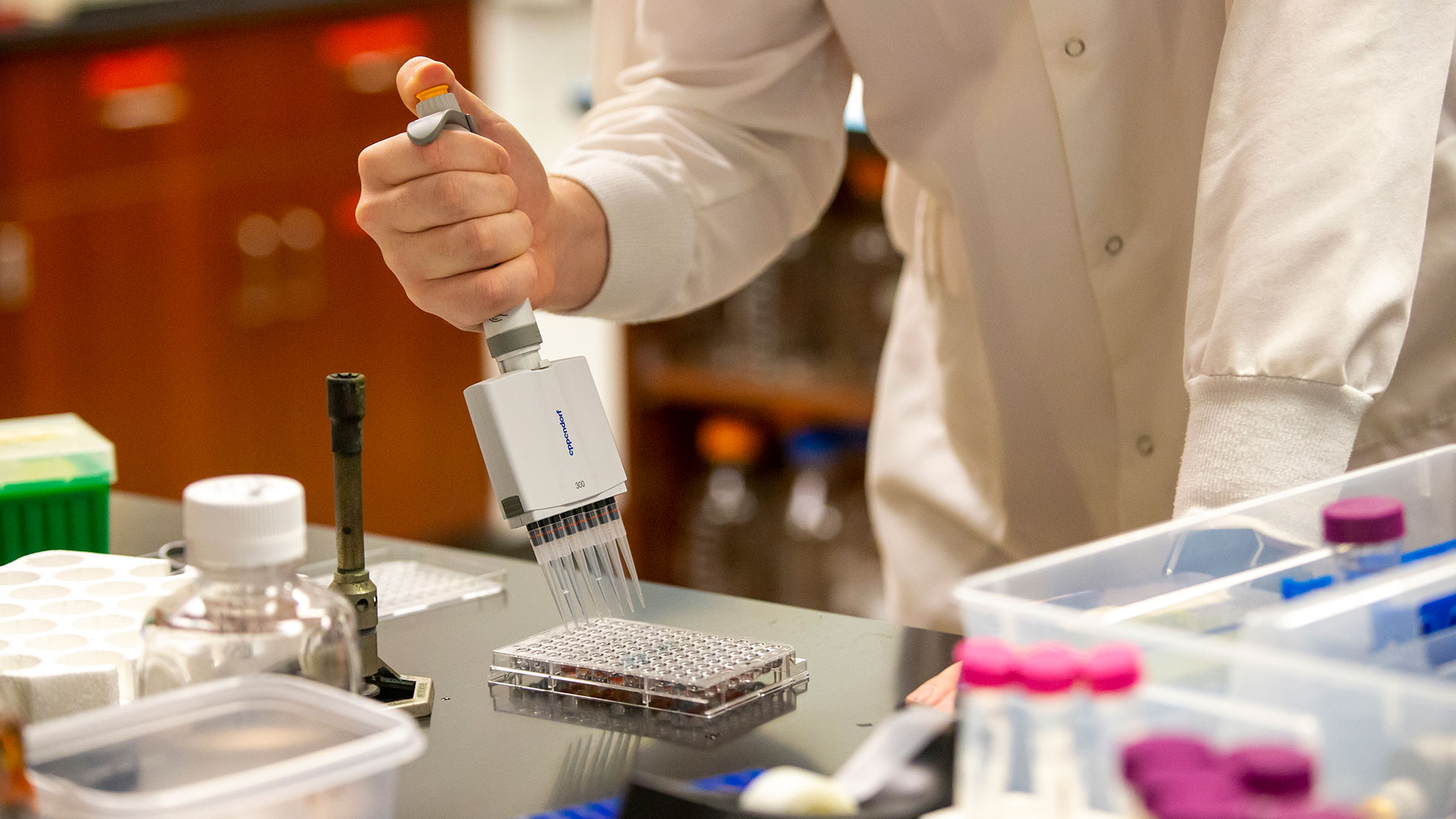 Student using a micropipette to fill test tubes