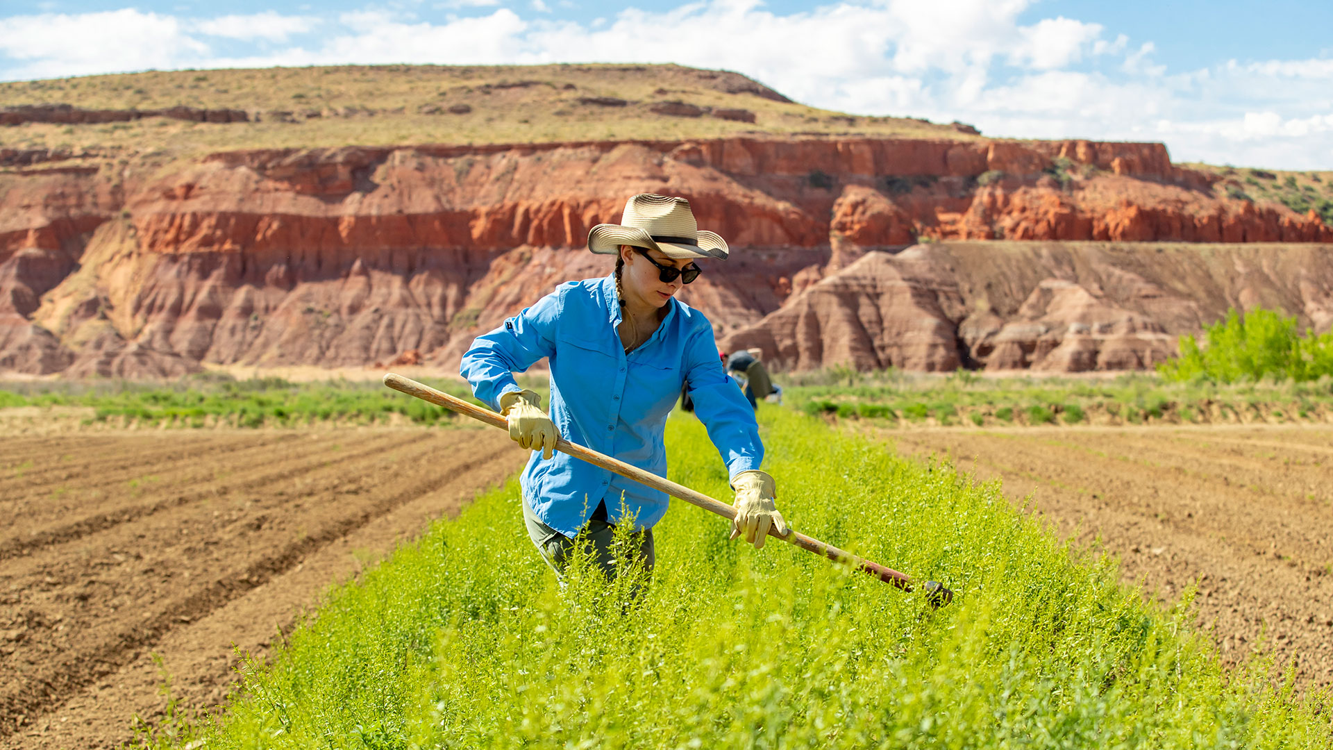 A student uses a garden tool in Arizona with a mesa in the background. 
