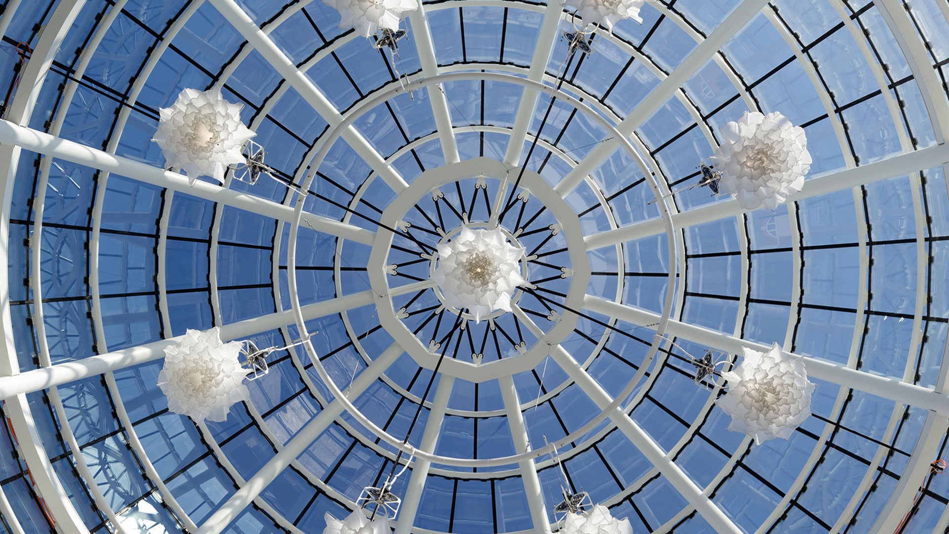 Flowers of kinestic sculpture Shylight against the glass domes of the Torggler Fine Arts Center