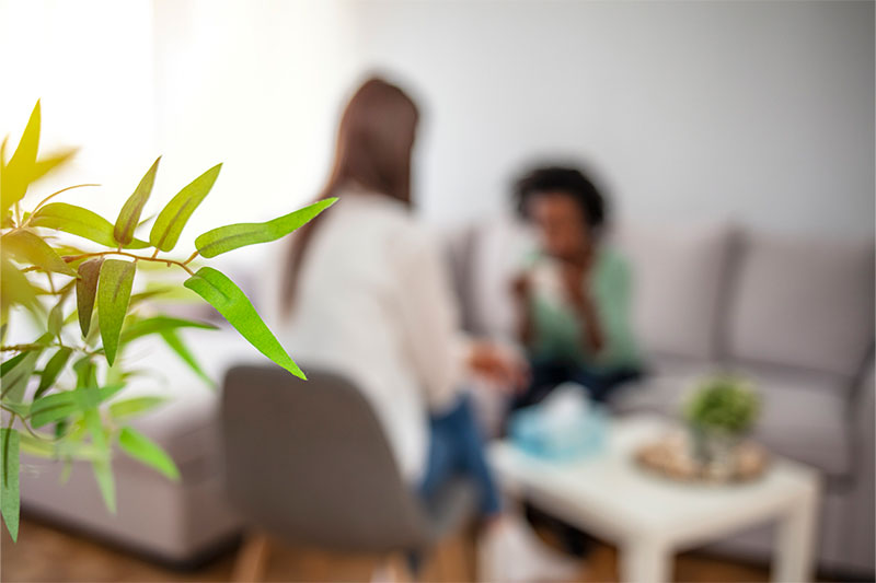  A blurred, out-of-focus view of a counseling session, with a green leafy plant in focus in the foreground on the left.